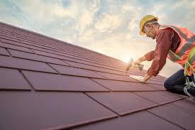 Best Roof Maintenance and Cleaning  in Lake Secession, SC